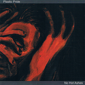 No Hot Ashes by Plastic Pride