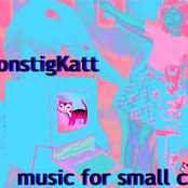 Music for small cats