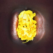 Les nuits d'une demoiselle - Single