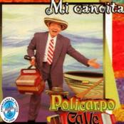 mi canoita