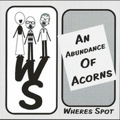 An Abundance of Acorns