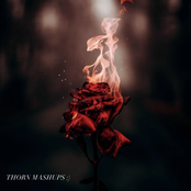 THORN MASHUPS :)
