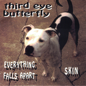 Everything Falls Apart / Skin