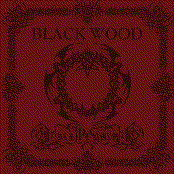 Onslaught From Dimensions Obscure by Black Wood