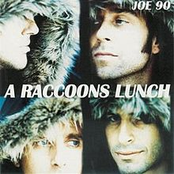 A Racoon's Lunch