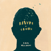 Ravens & Crows