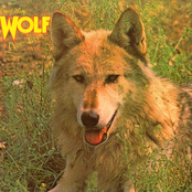Wolf by Darryl Way's Wolf