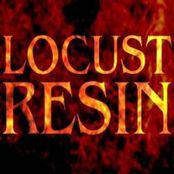 locust resin