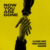 Now You Are Gone