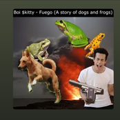 Fuego (A story of dogs and frogs)