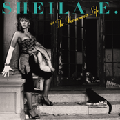 In The Glamorous Life