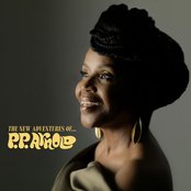 P.P. Arnold - The New Adventures of... P.P. Arnold Artwork