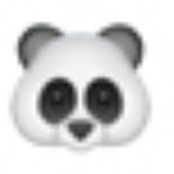 🐼 🐼