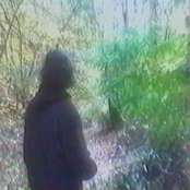 Forest Thoughts