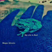 My Life Is Bad