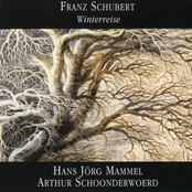 Schubert: Winterreise