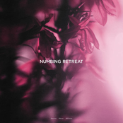 Numbing Retreat