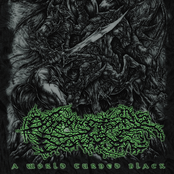 A World Turned Black