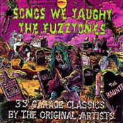 J.D. Blackfoot: Songs We Taught The Fuzztones