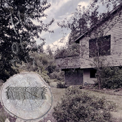 Everything Said Was A Lie... Found Through Pages And Pages