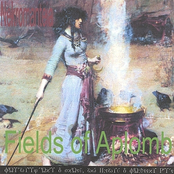 Garden Of Last Grace by Fields Of Aplomb