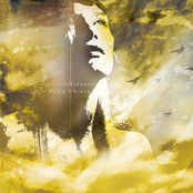 Split Seila Chiara/Orfèvre