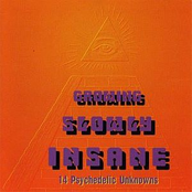 Growing Slowly Insane