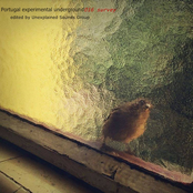 Portugal Experimental Underground 016 Survey