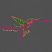 Isto Não É um Poema