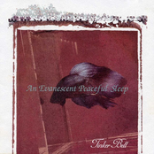 An Evanescent Peaceful Sleep