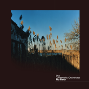 As The Stars Fall by The Cinematic Orchestra