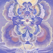 镜花水月