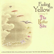 Fading Yellow Vol 10