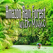 Amazon Rain Forest with Music (Music and Nature Sound)