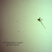 Spit Back at the Rain