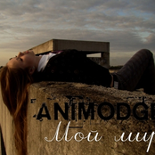 animodge