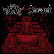 Split with Into Coffin