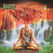 Morbid Tales Of Terror