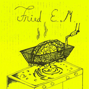 Fried E.M.
