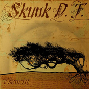 Muerte Y Destrucción by Skunk D.f.