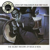 Bluebird Blues - When The Sun Goes Down Series