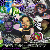 Home For The Day: Muscadine