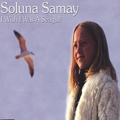 I Wish I Was A Seagull by Soluna Samay