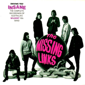 Wild About You by The Missing Links