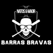 Barras bravas
