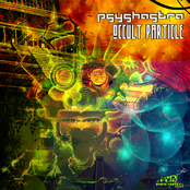 Occult Particle