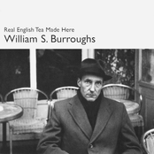The Piper Pulled Down The Sky by William S. Burroughs