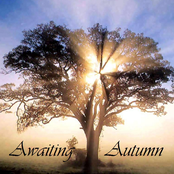 All You Need - Single