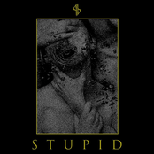 Stupid