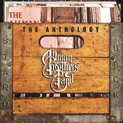 Never Knew How Much (i Needed You) by The Allman Brothers Band